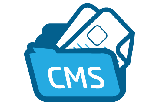 CMS Development​